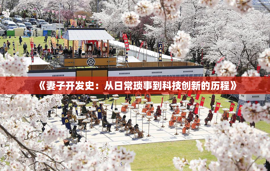 《妻子开发史：从日常琐事到科技创新的历程》