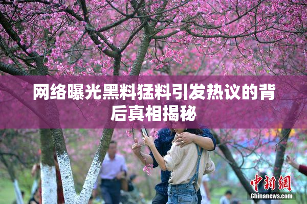 网络曝光黑料猛料引发热议的背后真相揭秘