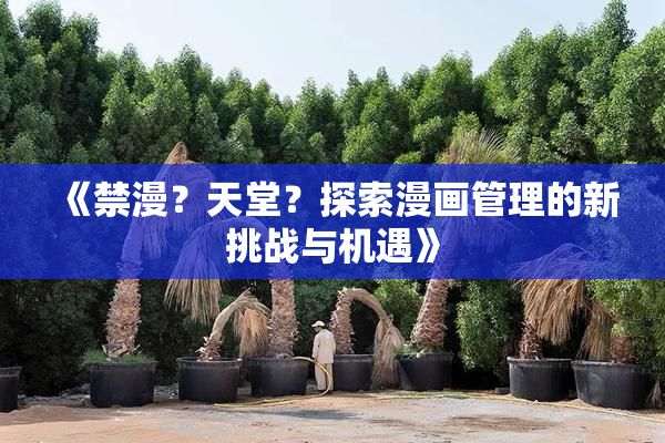 《禁漫？天堂？探索漫画管理的新挑战与机遇》