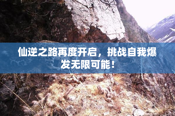 仙逆之路再度开启，挑战自我爆发无限可能！