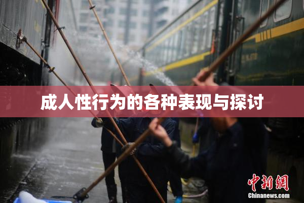 成人性行为的各种表现与探讨