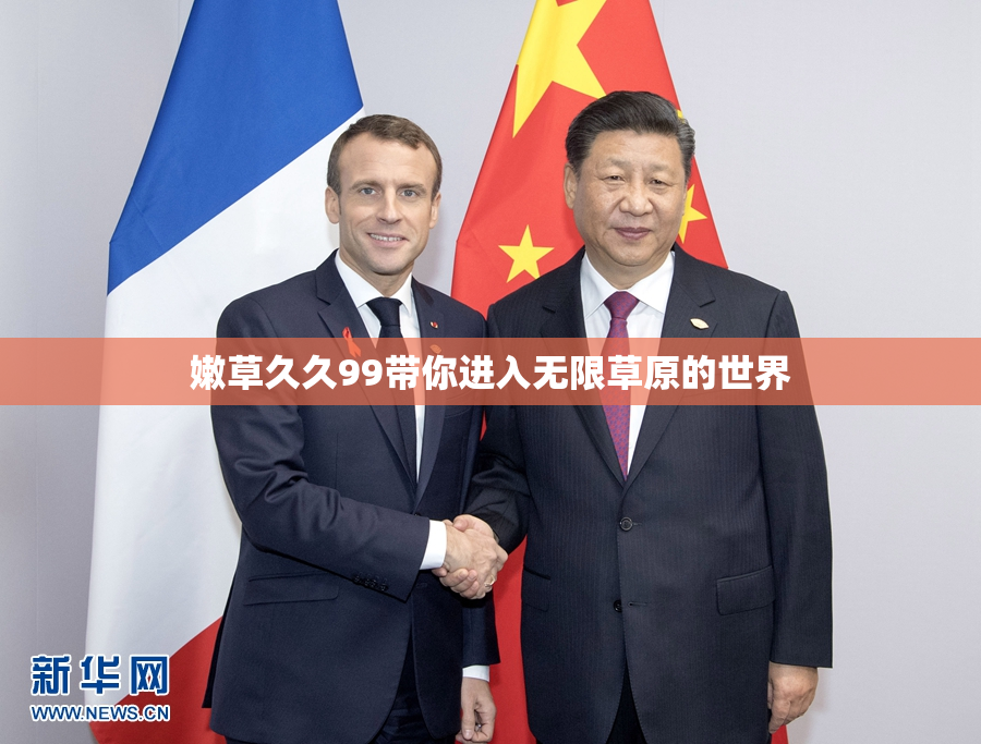 嫩草久久99带你进入无限草原的世界