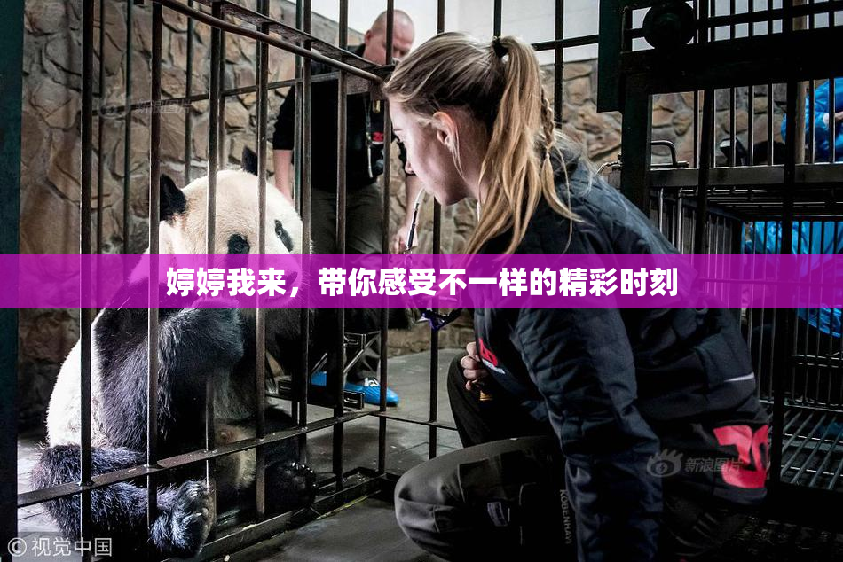 婷婷我来，带你感受不一样的精彩时刻