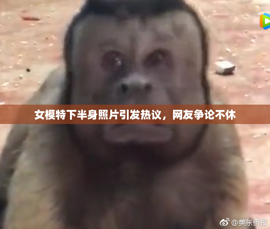 女模特下半身照片引发热议，网友争论不休