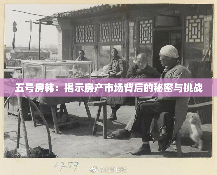 五号房韩：揭示房产市场背后的秘密与挑战