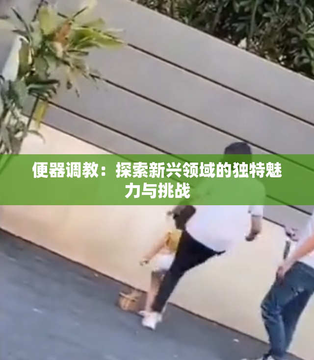 便器调教：探索新兴领域的独特魅力与挑战