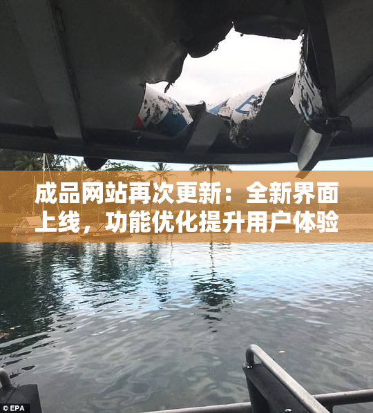 成品网站再次更新：全新界面上线，功能优化提升用户体验