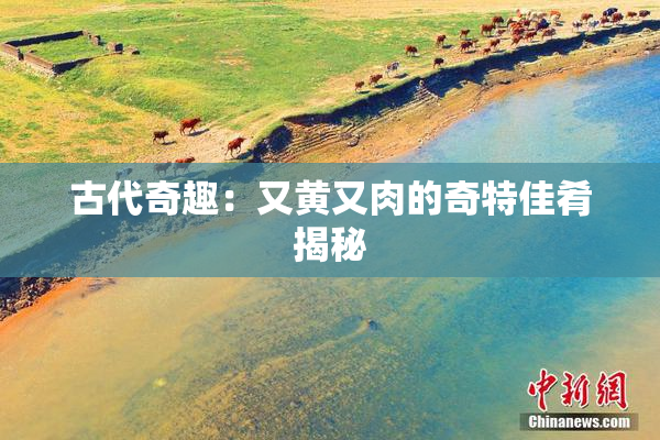 古代奇趣：又黄又肉的奇特佳肴揭秘