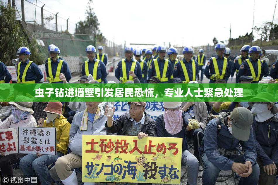 虫子钻进墙壁引发居民恐慌，专业人士紧急处理