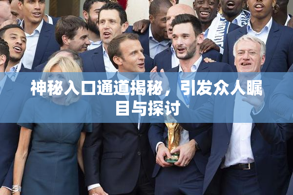 神秘入口通道揭秘，引发众人瞩目与探讨
