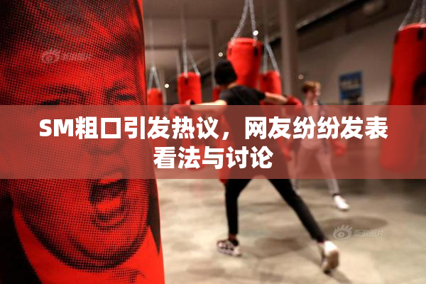 SM粗口引发热议，网友纷纷发表看法与讨论