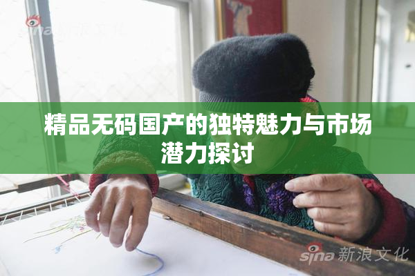 精品无码国产的独特魅力与市场潜力探讨