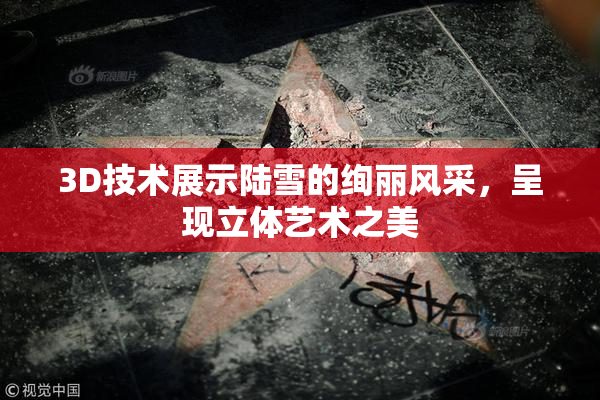 3D技术展示陆雪的绚丽风采，呈现立体艺术之美