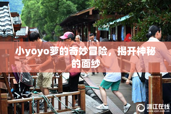 小yoyo萝的奇妙冒险，揭开神秘的面纱