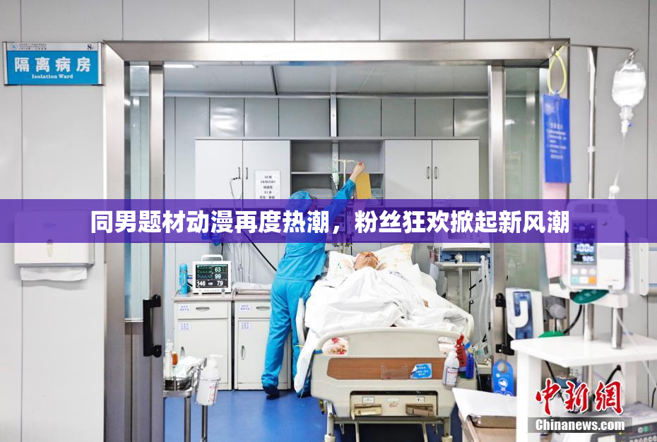 同男题材动漫再度热潮，粉丝狂欢掀起新风潮
