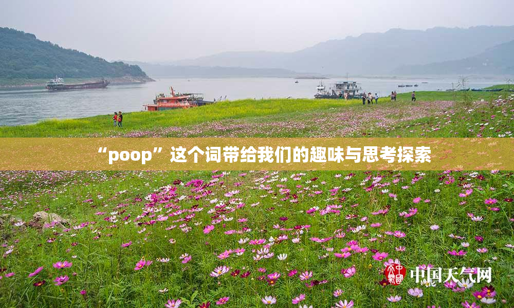 “poop”这个词带给我们的趣味与思考探索