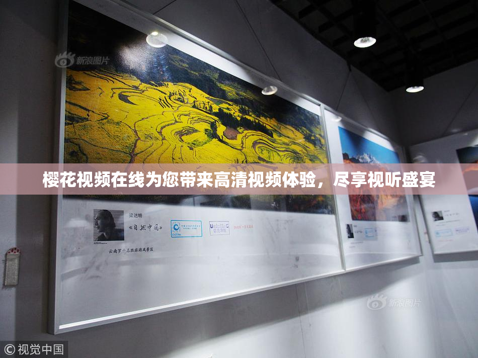 樱花视频在线为您带来高清视频体验，尽享视听盛宴