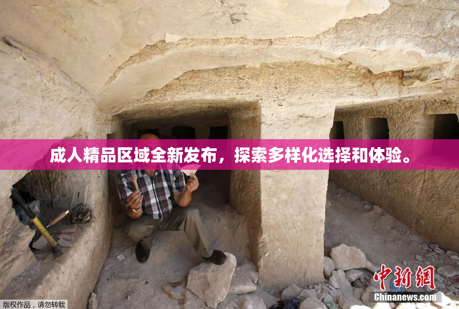 成人精品区域全新发布，探索多样化选择和体验。