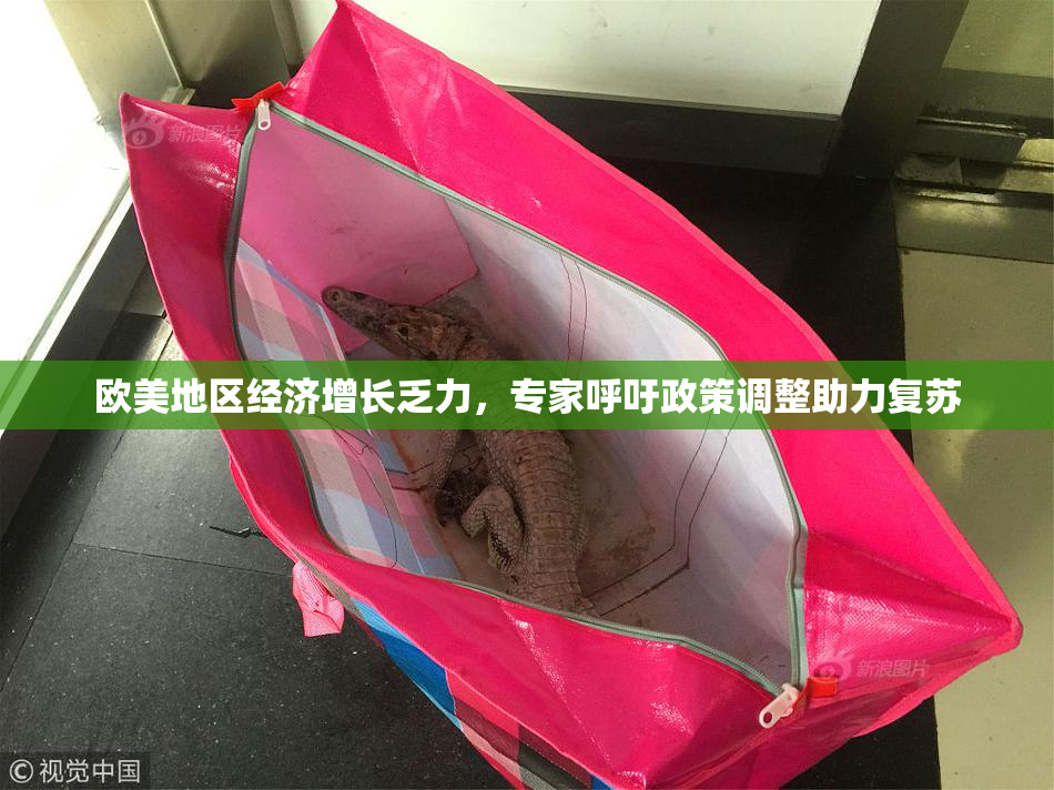 欧美地区经济增长乏力，专家呼吁政策调整助力复苏