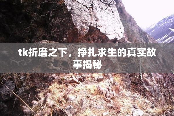 tk折磨之下，挣扎求生的真实故事揭秘