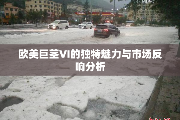 欧美巨茎VI的独特魅力与市场反响分析