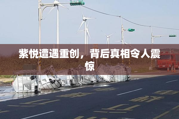 紫悦遭遇重创，背后真相令人震惊