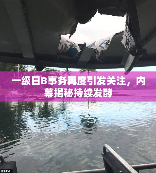 一级日B事务再度引发关注，内幕揭秘持续发酵