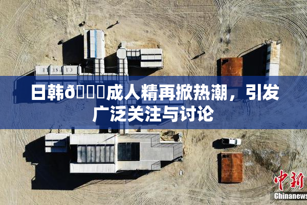 日韩🔞成人精再掀热潮，引发广泛关注与讨论
