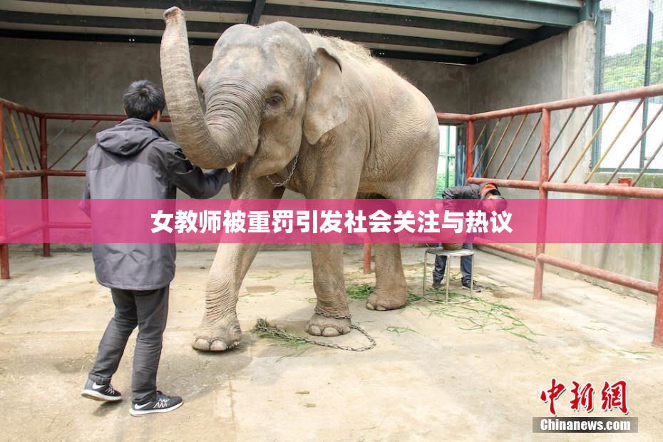 女教师被重罚引发社会关注与热议