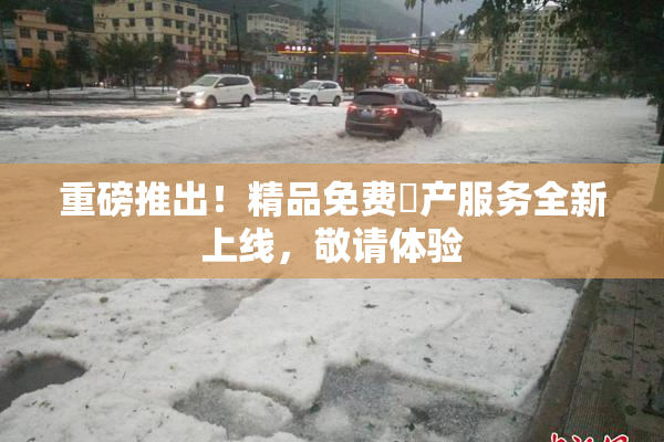重磅推出！精品免费囯产服务全新上线，敬请体验