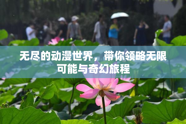无尽的动漫世界，带你领略无限可能与奇幻旅程