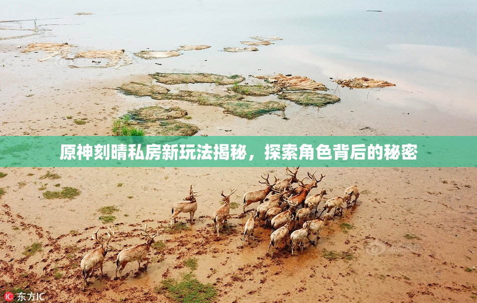 原神刻晴私房新玩法揭秘，探索角色背后的秘密