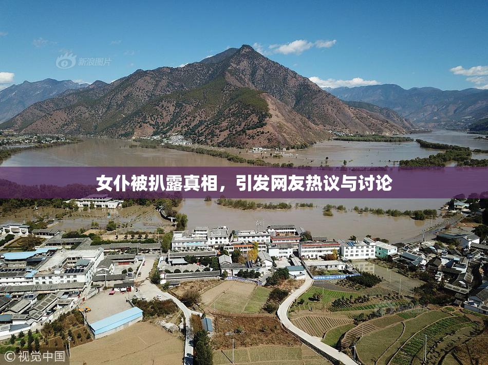 女仆被扒露真相，引发网友热议与讨论