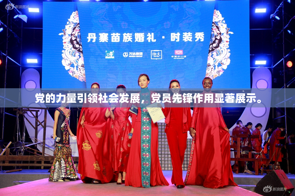 党的力量引领社会发展，党员先锋作用显著展示。