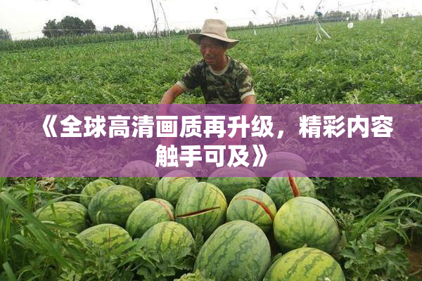 《全球高清画质再升级，精彩内容触手可及》