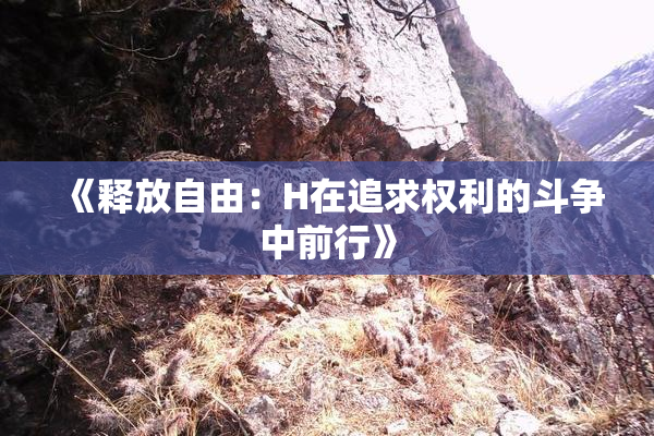 《释放自由：H在追求权利的斗争中前行》