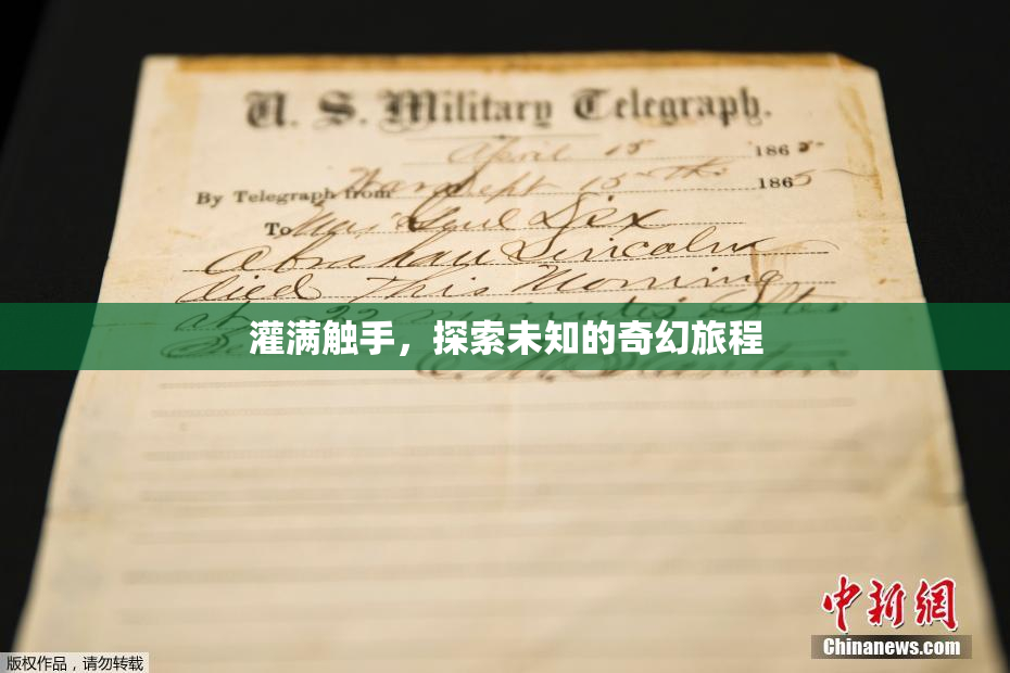 灌满触手，探索未知的奇幻旅程