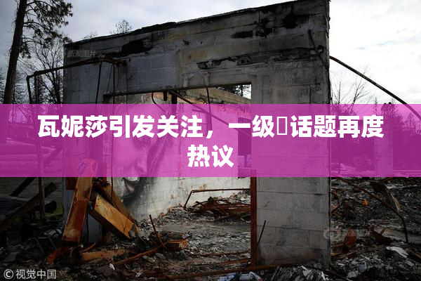瓦妮莎引发关注，一级婬话题再度热议
