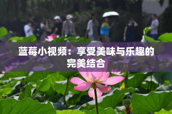 蓝莓小视频：享受美味与乐趣的完美结合