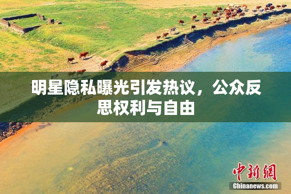 明星隐私曝光引发热议，公众反思权利与自由