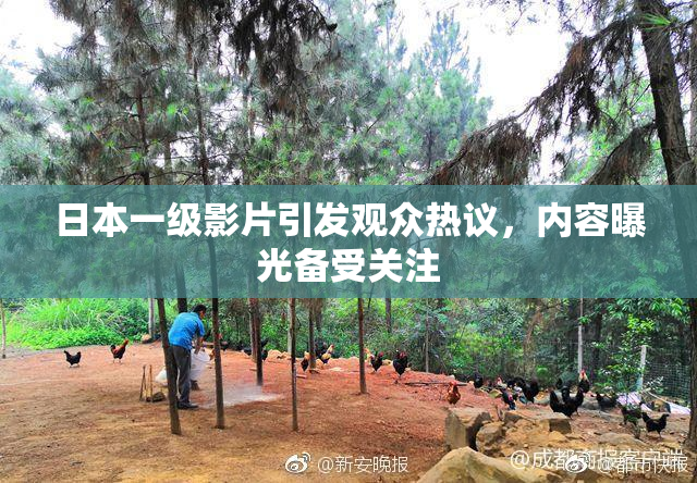 日本一级影片引发观众热议，内容曝光备受关注
