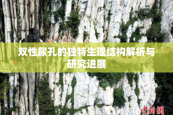 双性尿孔的独特生理结构解析与研究进展