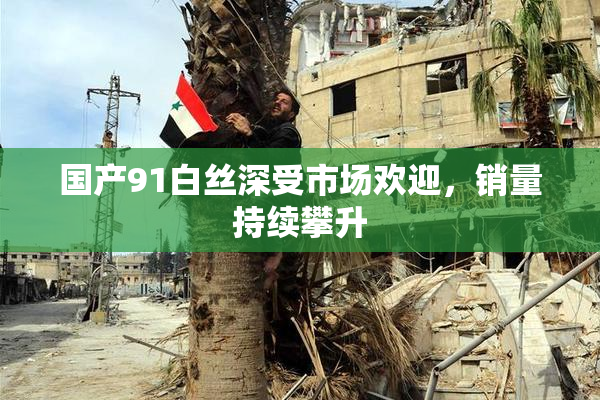 国产91白丝深受市场欢迎，销量持续攀升
