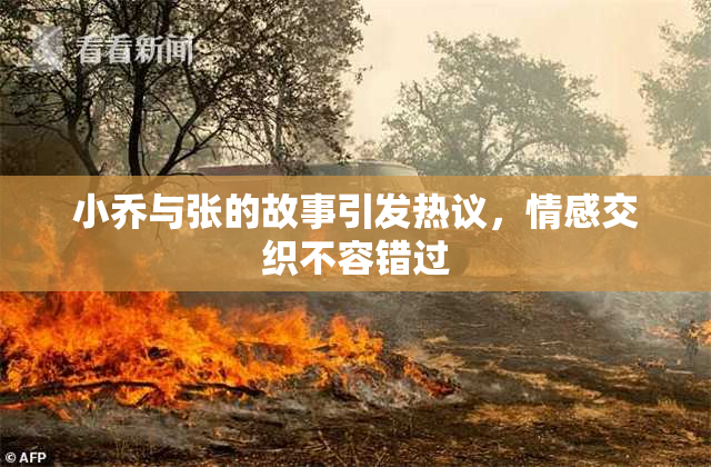 小乔与张的故事引发热议，情感交织不容错过