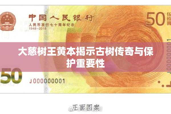 大慈树王黄本揭示古树传奇与保护重要性