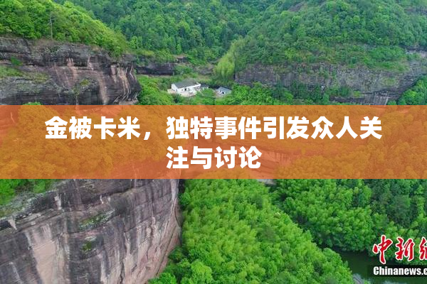 金被卡米，独特事件引发众人关注与讨论