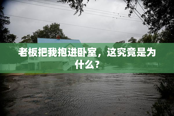 老板把我抱进卧室，这究竟是为什么？