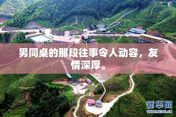 男同桌的那段往事令人动容，友情深厚。