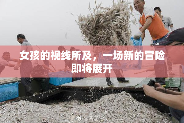 女孩的视线所及，一场新的冒险即将展开