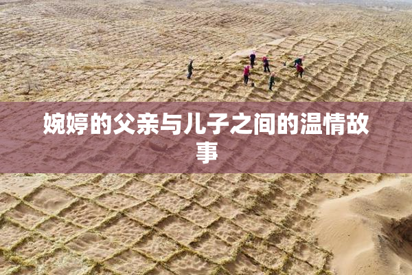 婉婷的父亲与儿子之间的温情故事